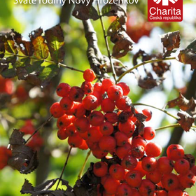 Výroční zpráva 2011