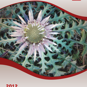 Výroční zpráva 2012