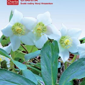 Výroční zpráva 2013