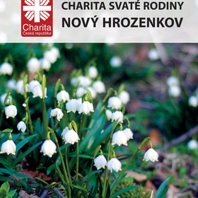 Výroční zpráva 2014