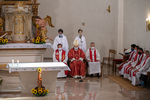 JOV_8256