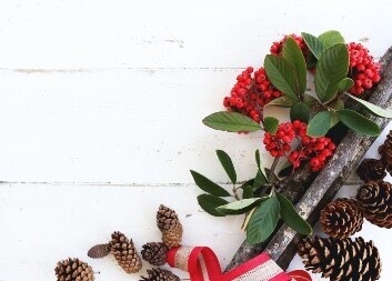 Program Denního stacionáře Slunečnice - Prosinec