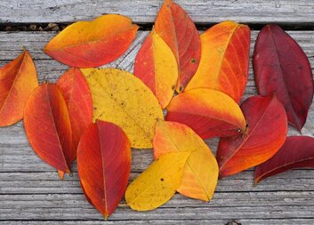 Zářijové setkání