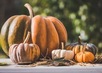 Program Denního stacionáře Slunečnice