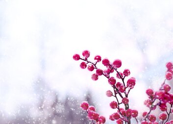 Lednový program Denního stacionáře Slunečnice je opravdu bohatý