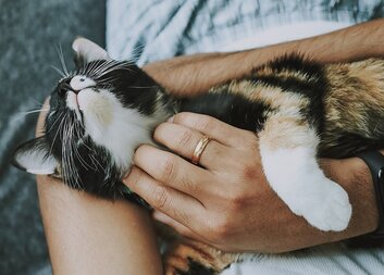 Pracuj na "domečku"