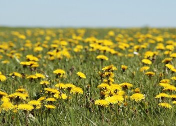 Aktuální program sociální rehabilitace Lávka