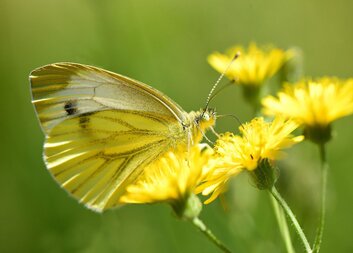 Květnový program stacionáře Slunečnice