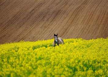 Květnové výlety stojí za to