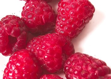 Brigáda nejen na léto