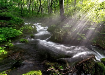 Červen ve Slunečnici