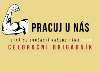 Celoroční brigáda u nás