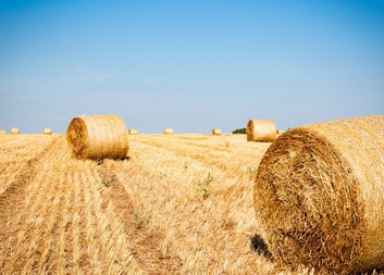 Výlety v srpnu 2024