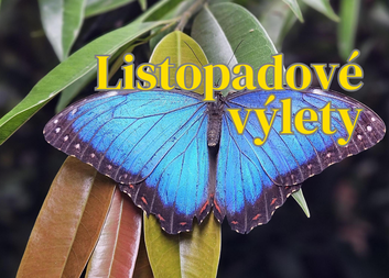 Listopadové výlety