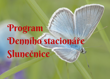 Červencový program stacionáře