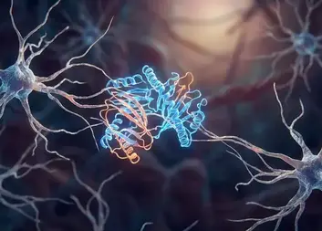 Neurodegenerativní onemocnění a demence: Jak je poznat a kdy vyhledat pomoc